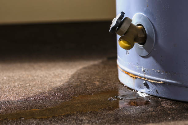 Best Water damage restoration near me  in Glenolden, PA