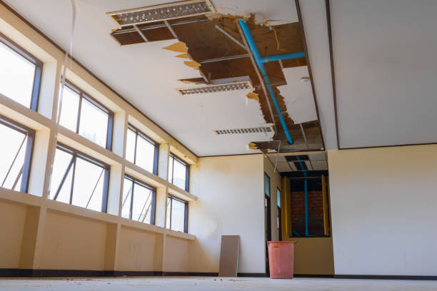 Best Fire Damage Restoration  in Glenolden, PA