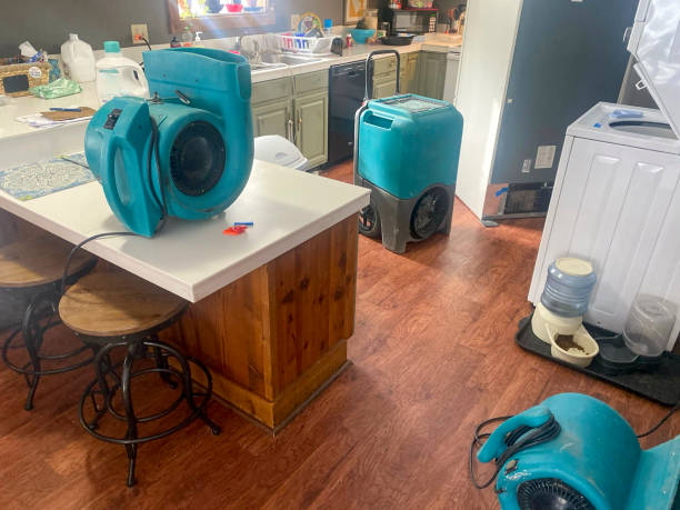 Best 24/7 water damage repair  in Glenolden, PA
