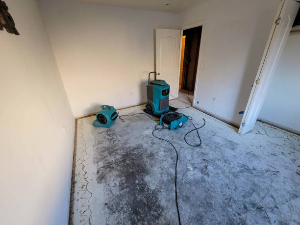 Best Residential water damage restoration  in Glenolden, PA