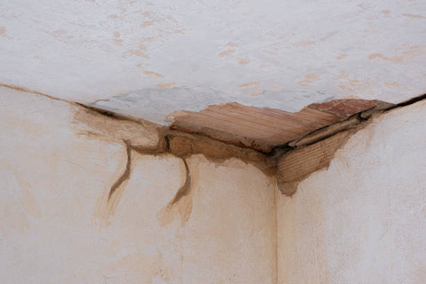 Best Commercial water damage restoration  in Glenolden, PA