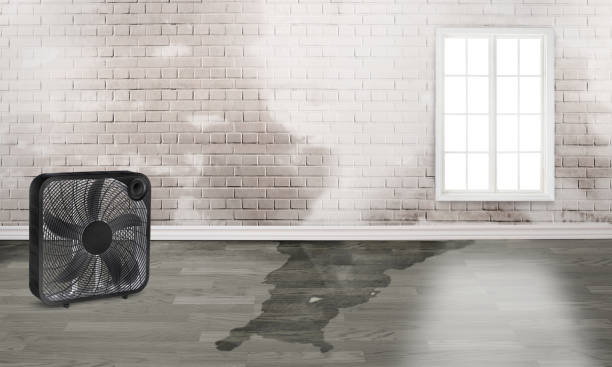 Best Commercial water damage restoration  in Glenolden, PA