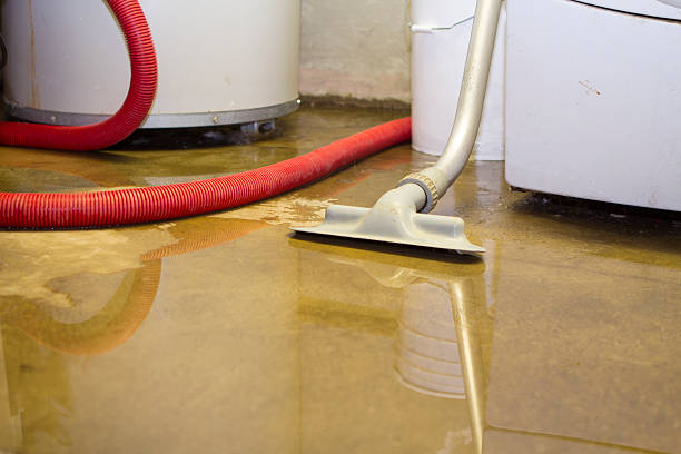 Best Water damage contractors near me  in Glenolden, PA