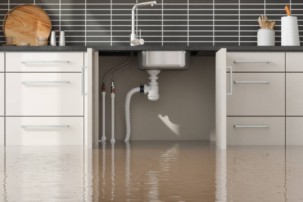 Best Basement water damage restoration  in Glenolden, PA